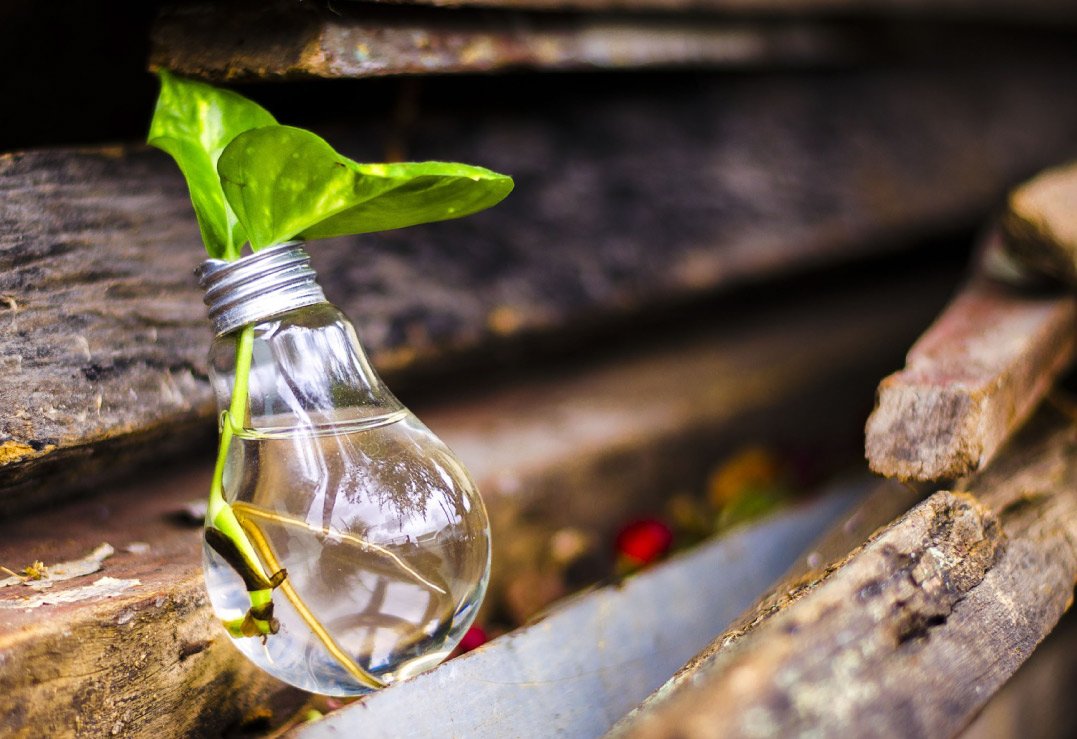 Impulsando la Economía Circular en el Berguedà