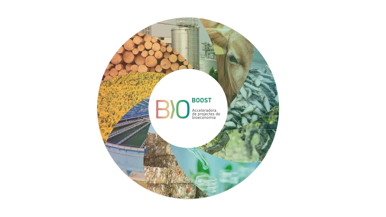 BioBoost – Aceleradora de Proyectos de Bioeconomía